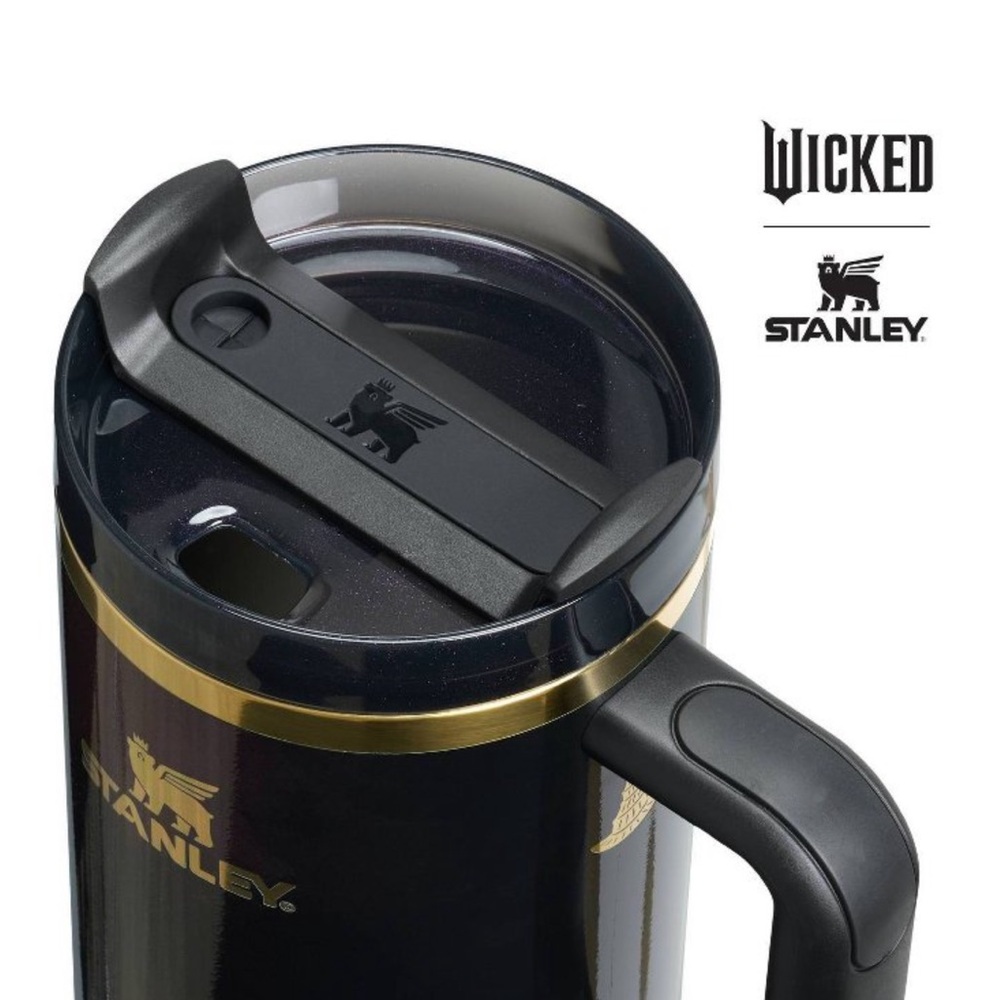 Stanley Wicked 2025 Elphaba for Good 20oz Flowstate Quencher Tumbler LE NWT SO - Picture 7 of 7